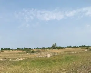 Dismayings Sales on Nest Cottage Lands.
