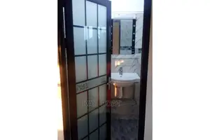 Elegant Bathroom Door