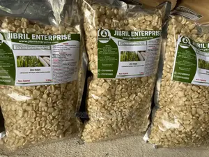 Togolese 60 Days Maize Seeds for Planting