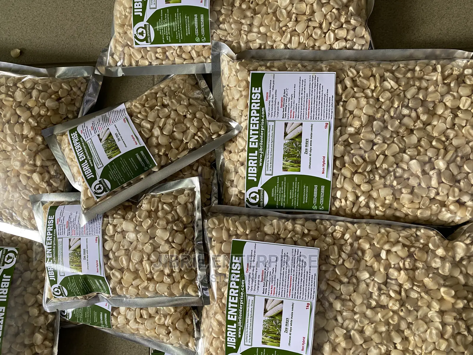 Togolese 60 Days Maize Seeds for Planting
