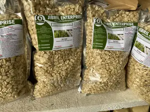Togolese 60 Days Maize Seeds for Planting