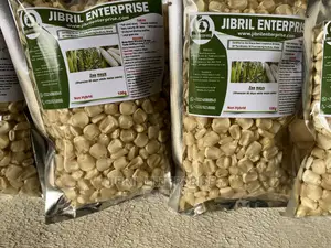 Togolese 60 Days Maize Seeds for Planting
