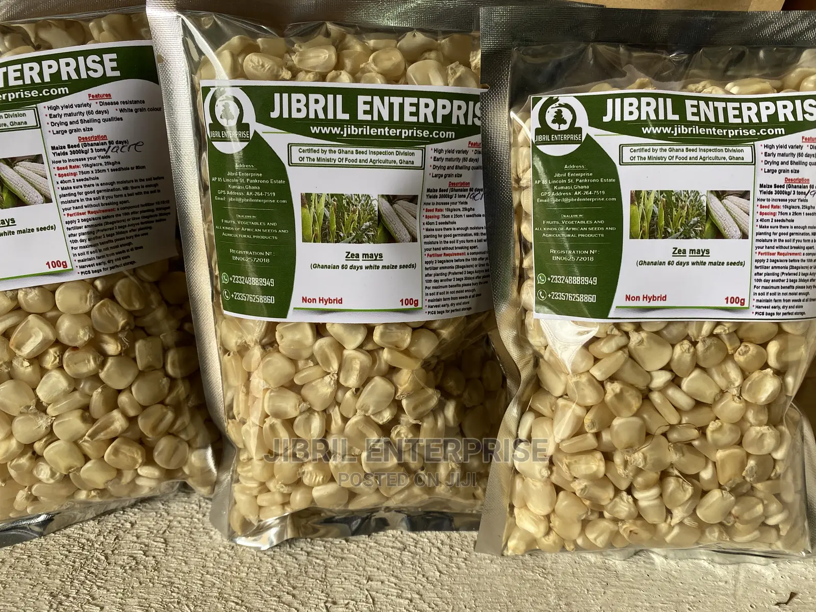 Togolese 60 Days Maize Seeds for Planting
