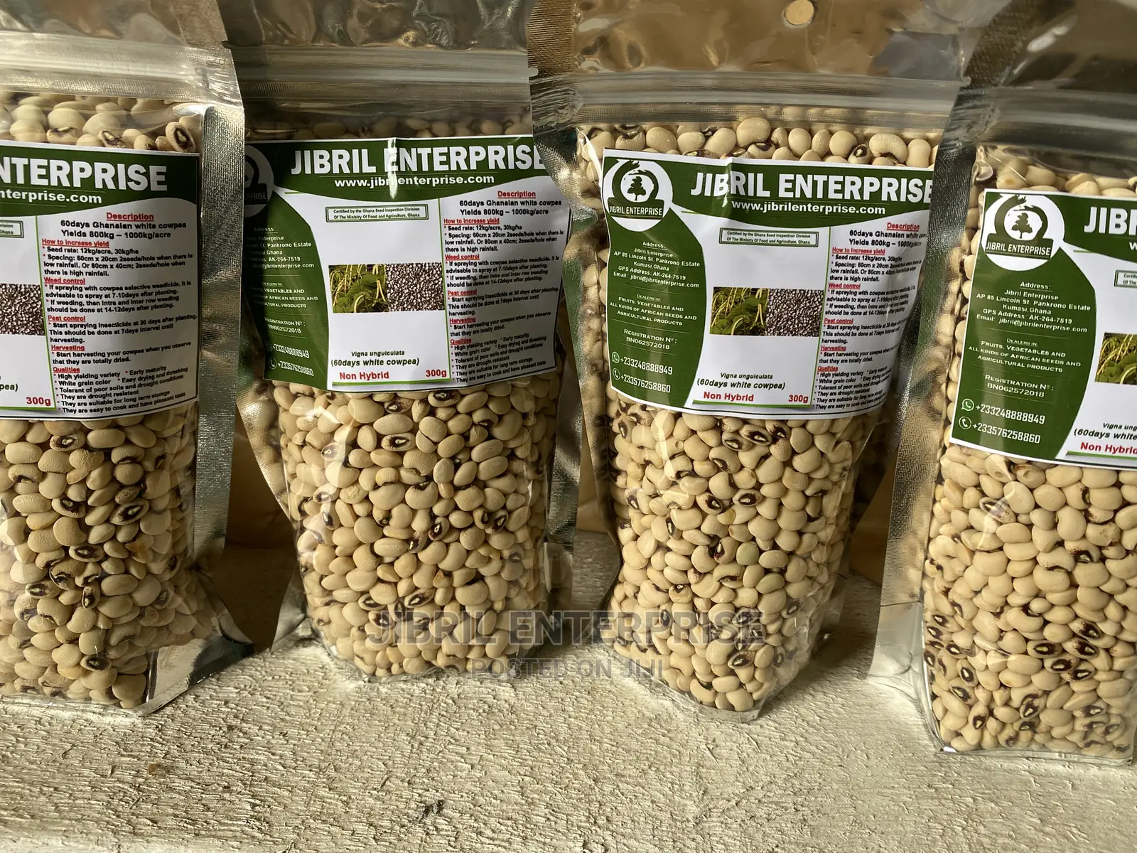 60 Days Cowpea/Beans Seeds for Planting
