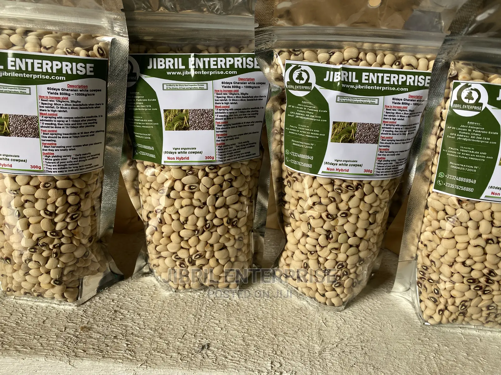 60 Days Cowpea/Beans Seeds for Planting