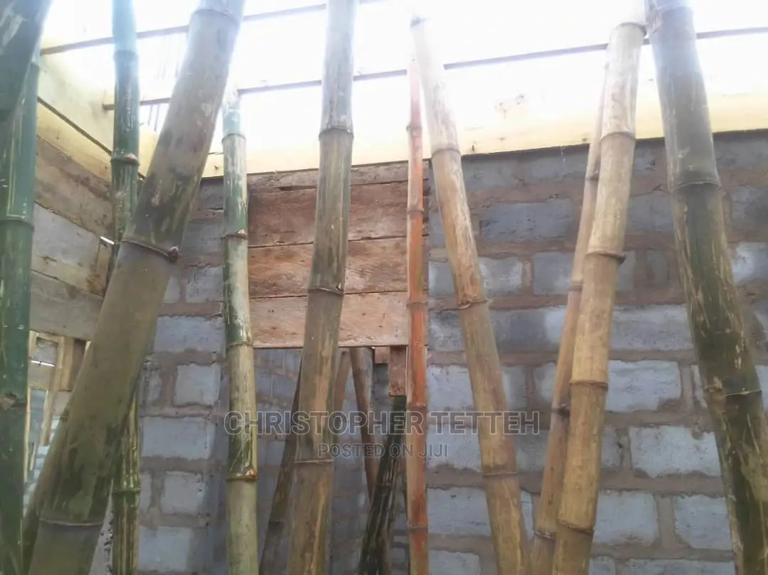 Wood for Rent