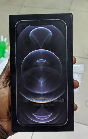 New Apple iPhone 12 Pro Max 256 GB Gray