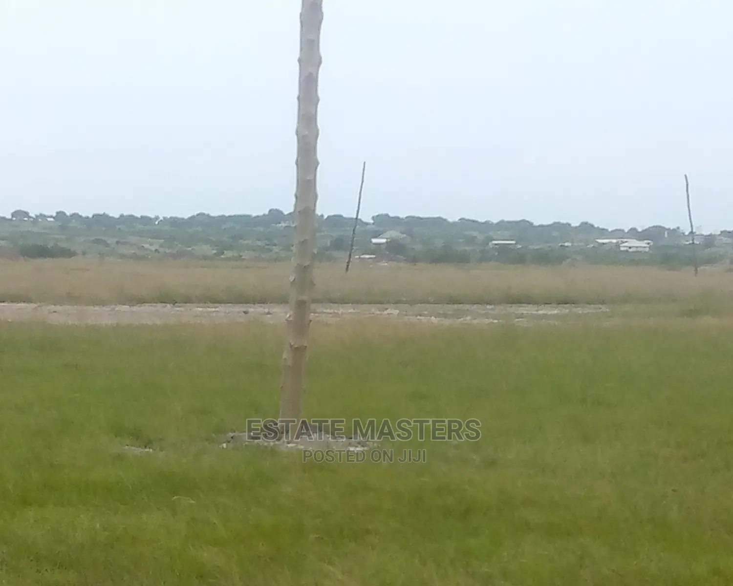 Quick Sales on Estate Lands