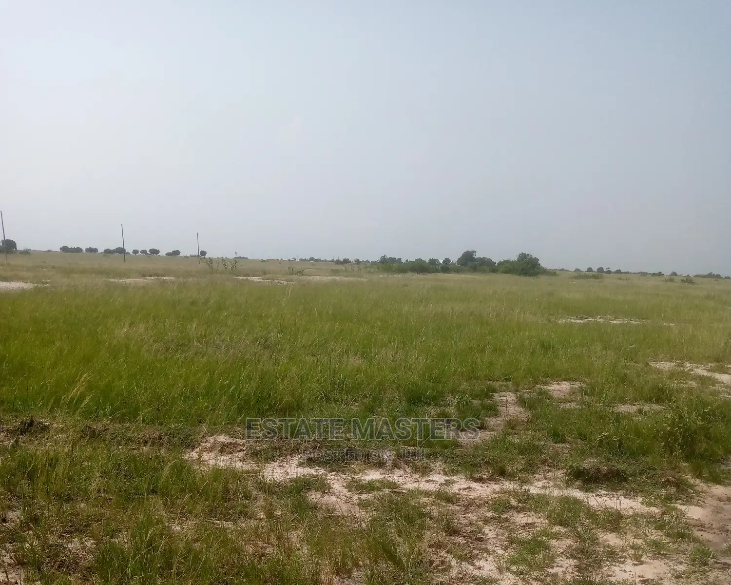 Quick Sales on Estate Lands