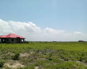 Eye-Catching Lands for Sale: Central University