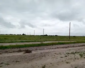 Eye-Catching Lands for Sale: Central University