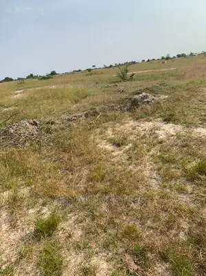 Stunning Acres of Land for Sale