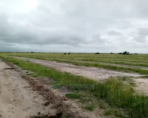 Original and Specified Titled Lands for Sale