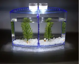 Mini Aquariums for Betta Fish