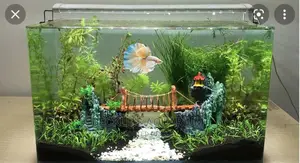 Table Top Aquarium