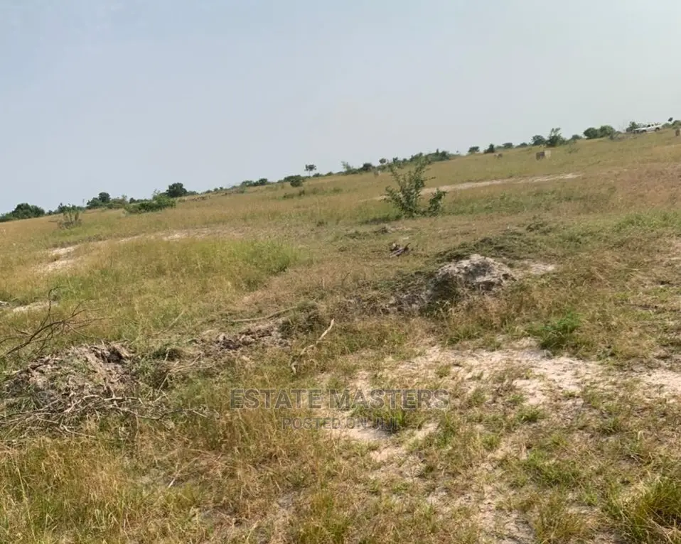 The True and Authentic Lands for Sale: Tsopoli