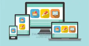 Professional Responsive Website Or E-commerce Store