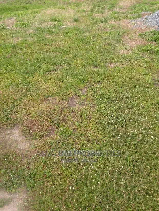 Acres of Land at Tsopoli