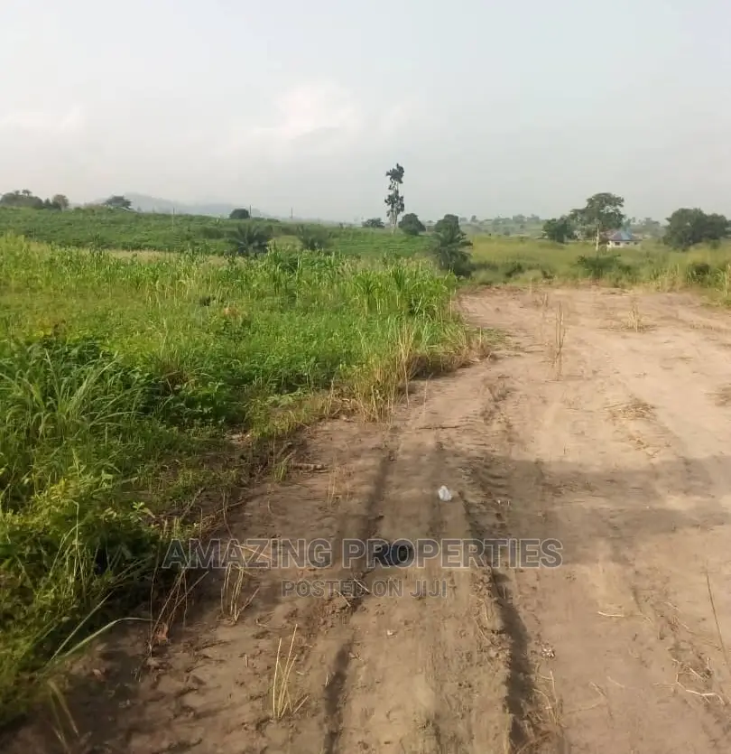 50 Acres of Land Along the Aflao -Accra Highway