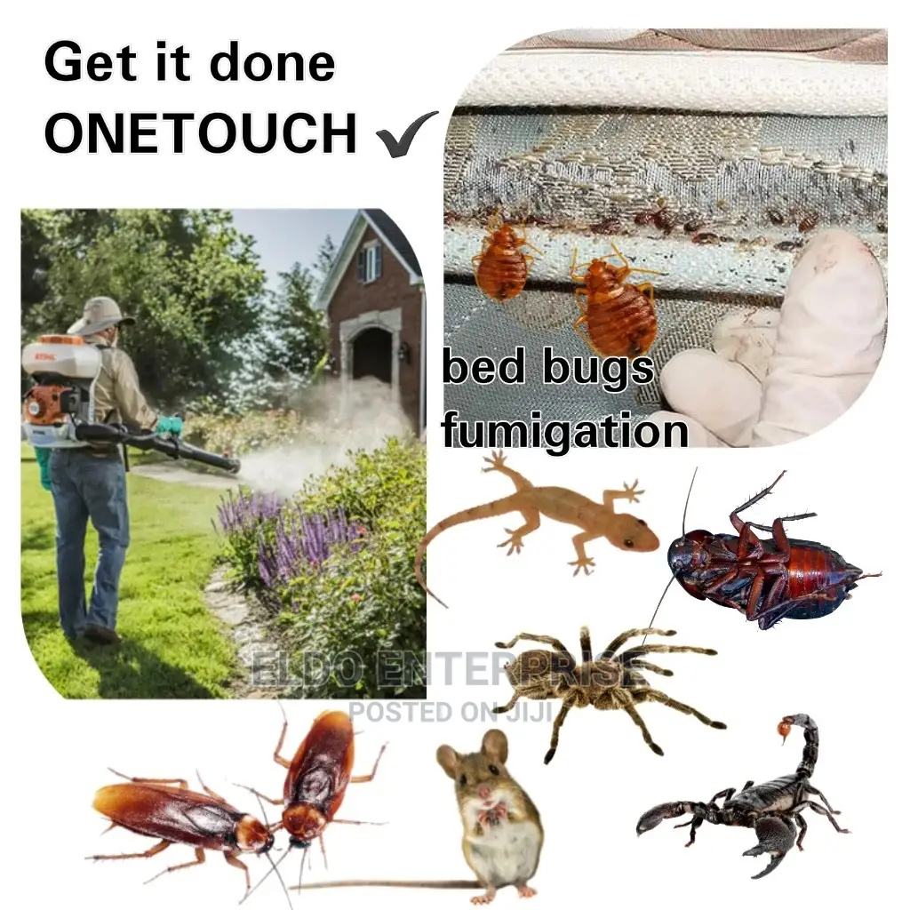 Environmental Pest Control