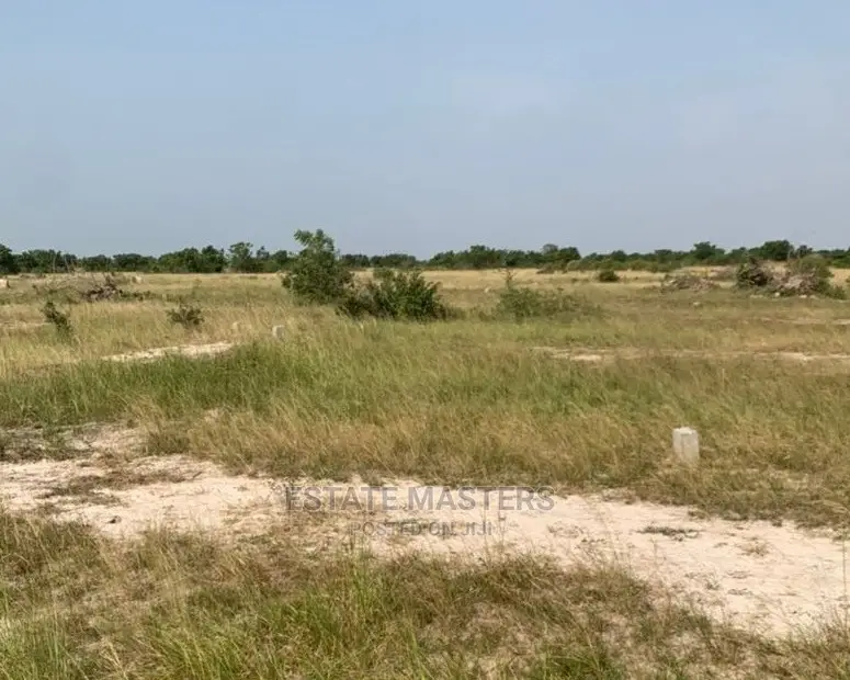 Special Sales on Lucrative Lands.
