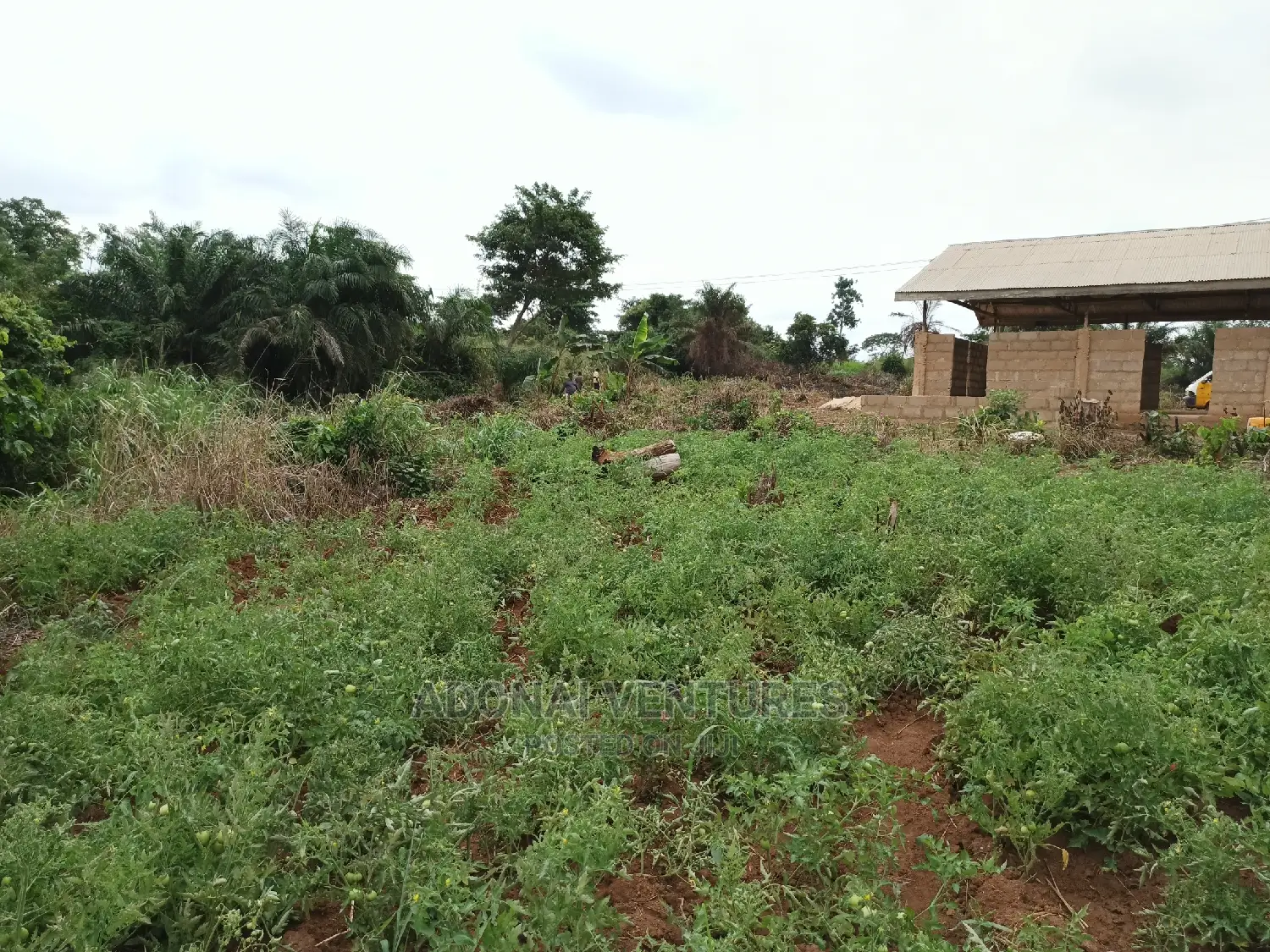 Plot of Land for Sale in Sokoban Bedaase