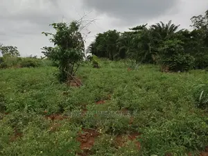 Plot of Land for Sale in Sokoban Bedaase