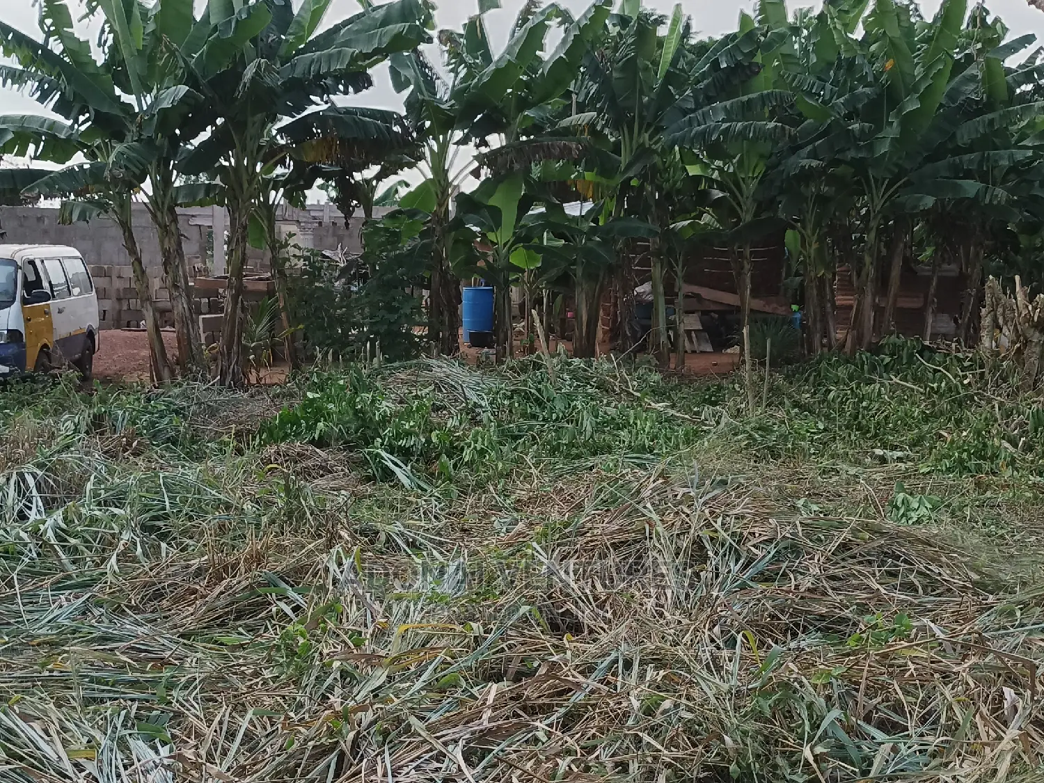 1 Plot of Land for Sale at Bedaase