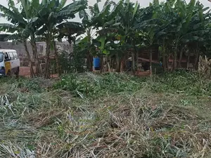 1 Plot of Land for Sale at Bedaase