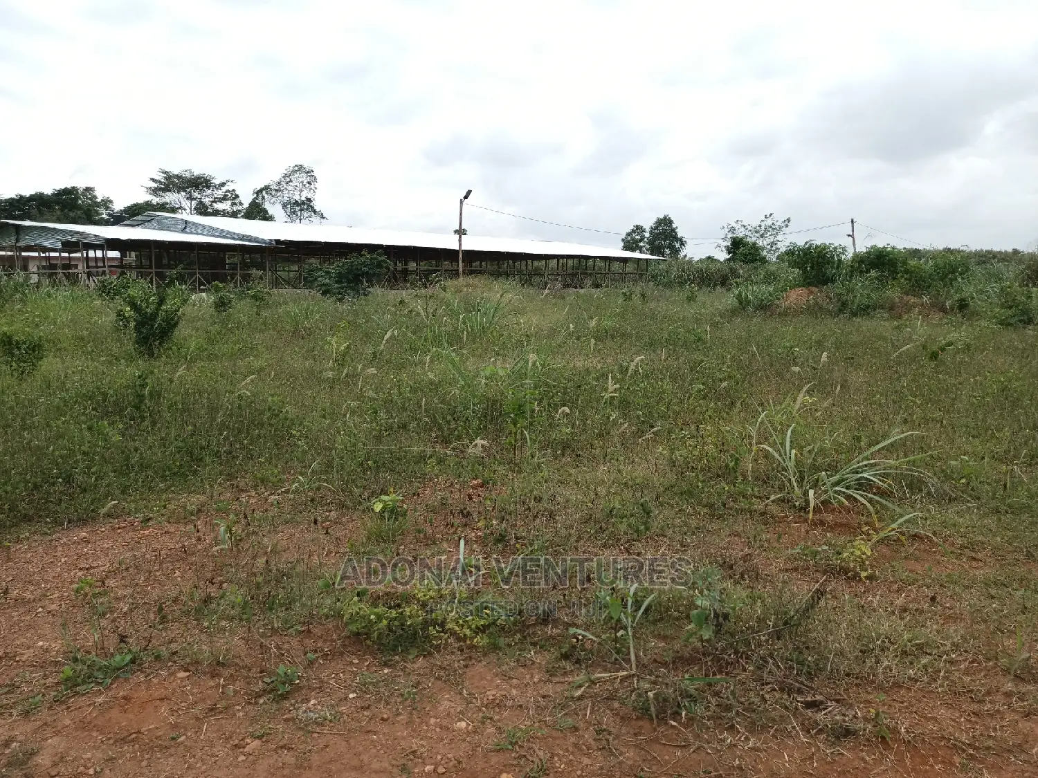 1 Plot of Land for Sale at Bedaase