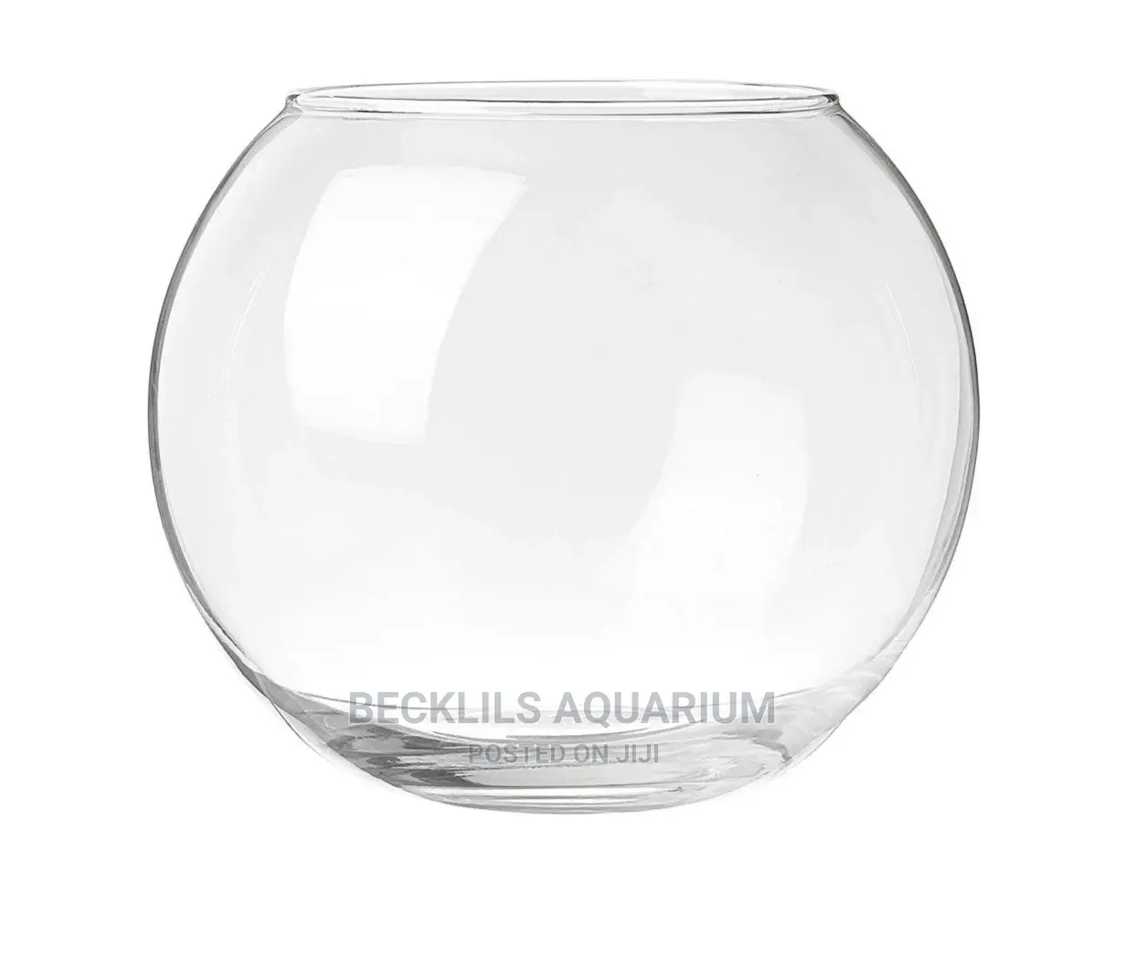 Bigger Aquarium Glass Bowls