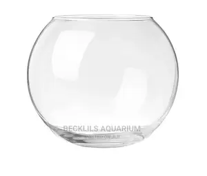 Bigger Aquarium Glass Bowls