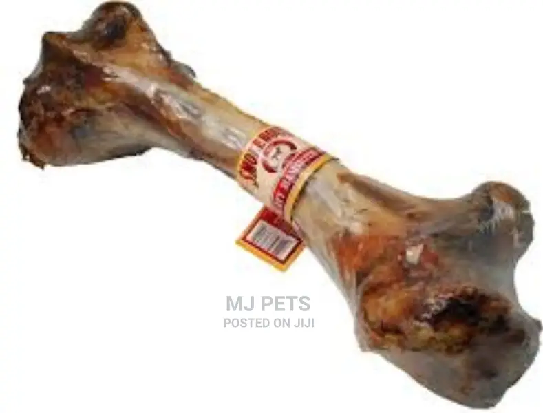 Dog Femur Toy Bone