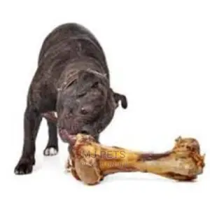 Dog Femur Toy Bone