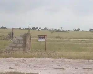 Massive Sales on Modern Lands