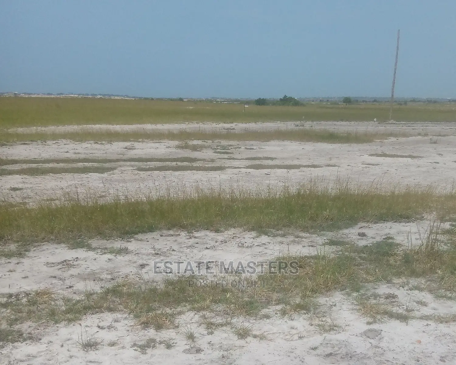 Delightful and Grand Sales on Titled Lands