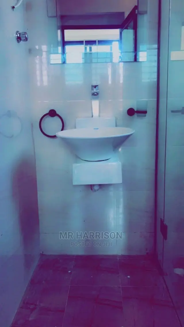 Mr Plumber