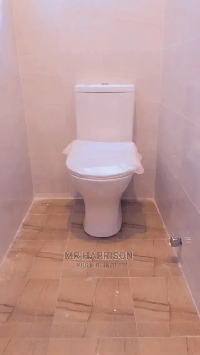 Mr Plumber