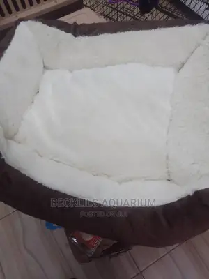 Bed for Dogs