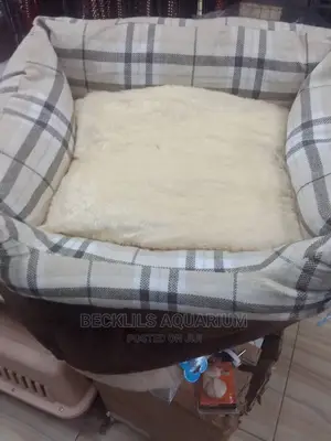 Bed for Dogs