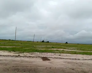 Sesational but Affordable Lands