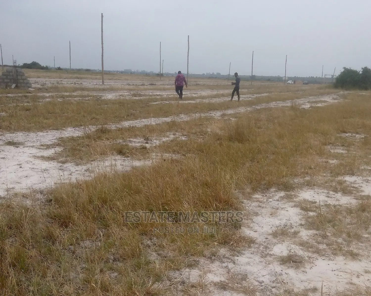 Mind Blowing Sales on Titled Lands
