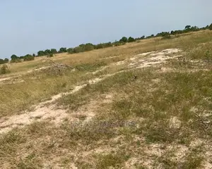 Exclusive and Authentic Lands for Sale