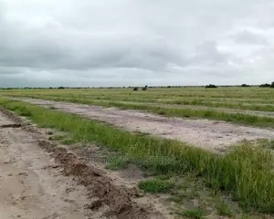 Equitable and Amazing Titled Lands for Sale