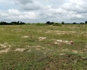 Superlative and Perfect Lands for Sale