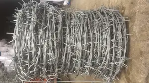 Galvanized Barbed Wire