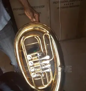 Olympic French Horn Gold