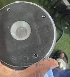 Speaker Drive Unit