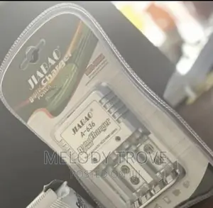 Jiabao Battery Charger