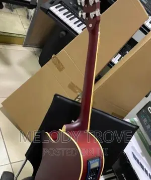 Fender Semi-acoustic Guitar